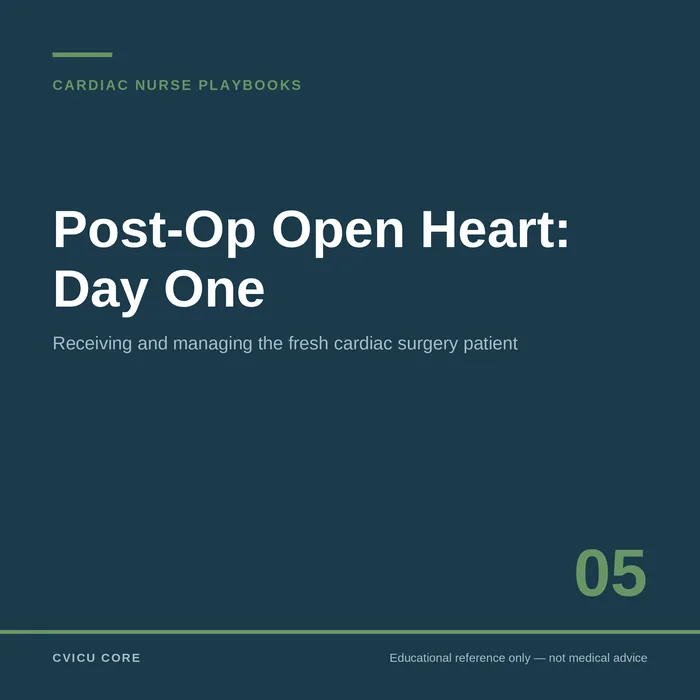 Post-Op Open Heart: Day One — Cardiac Nurse Playbooks