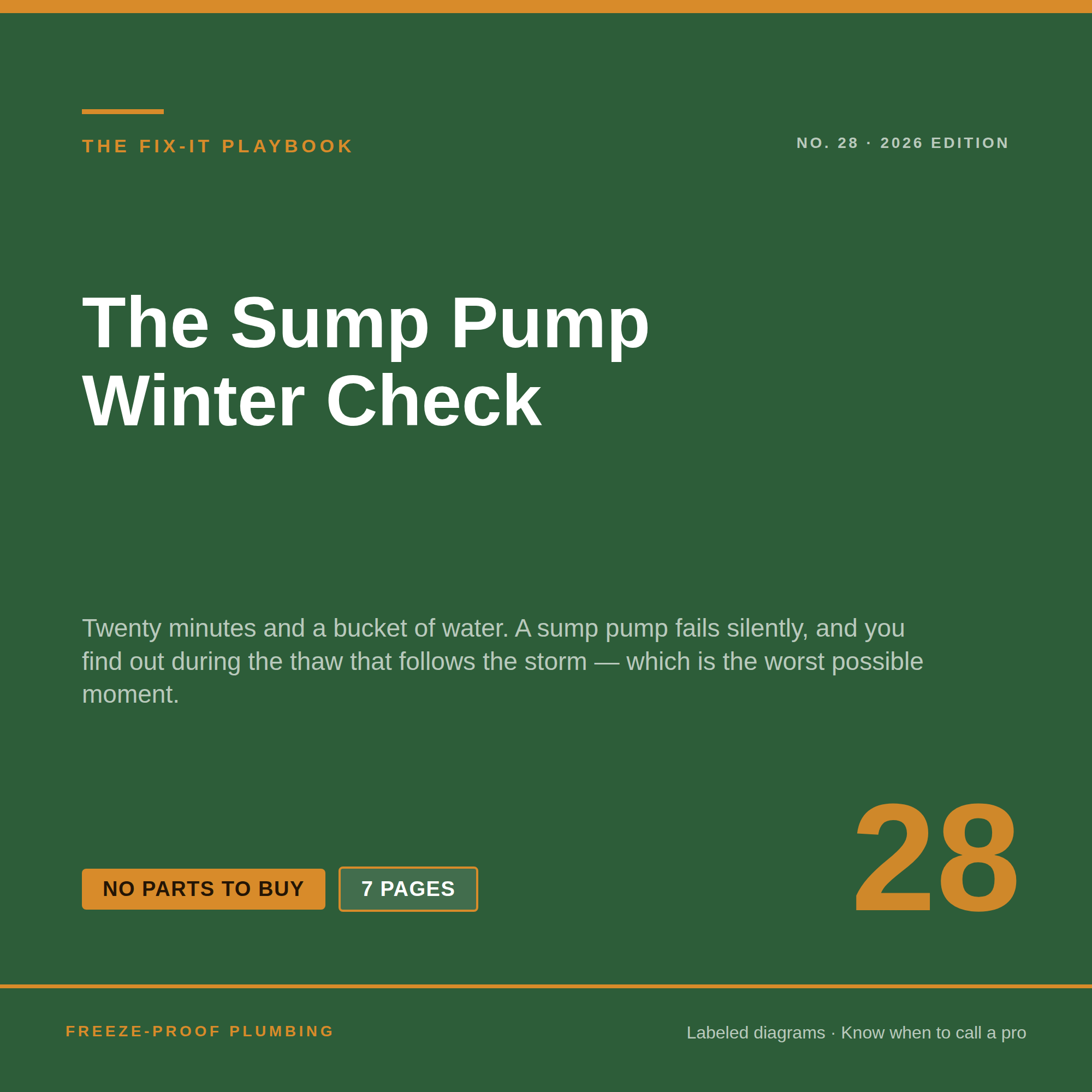 The Sump Pump Winter Check