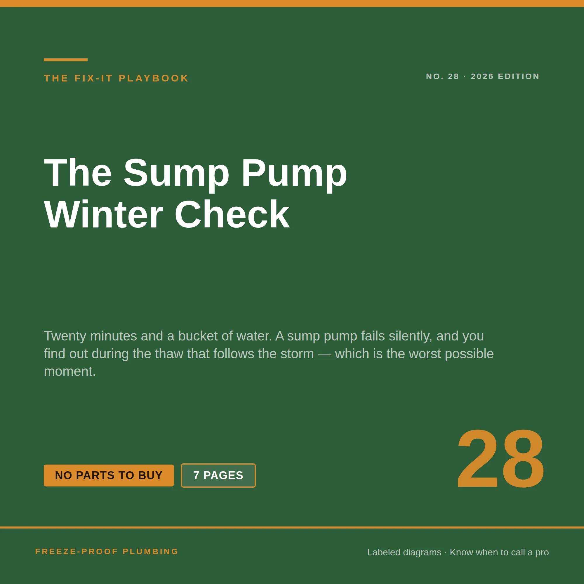 The Sump Pump Winter Check